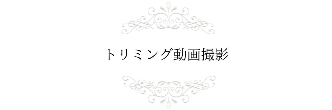 トリミング動画撮影